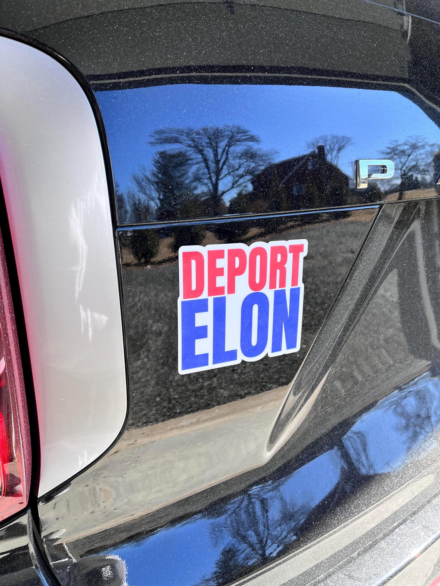 Deport Elon Magnet or Vinyl Decal | Political Protest Sticker | Anti-Elon Musk Decal | Bold Activism Magnet