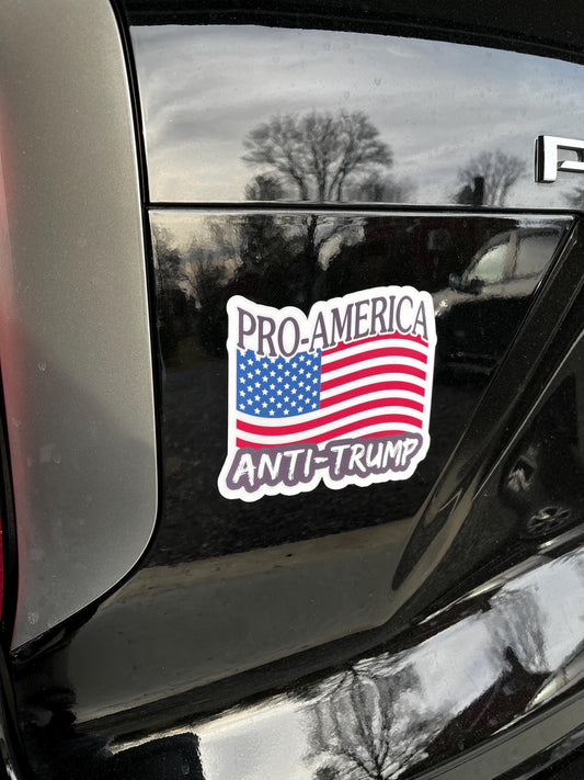 Pro-America Anti-Trump Vinyl Decal or Magnet | Political Protest Sticker | Stand for America | Resistance Design
