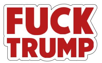 F*ck Trump Vinyl Decal or Magnet | Political Protest Sticker | Anti-Trump Design | Resist Trump Movement