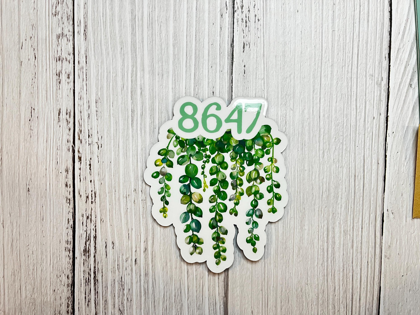 8647 (Get Rid of Trump) Subtle Dainty Green Succulent Plants Vinyl Decal or Magnet | Political Protest | Feminist Statement