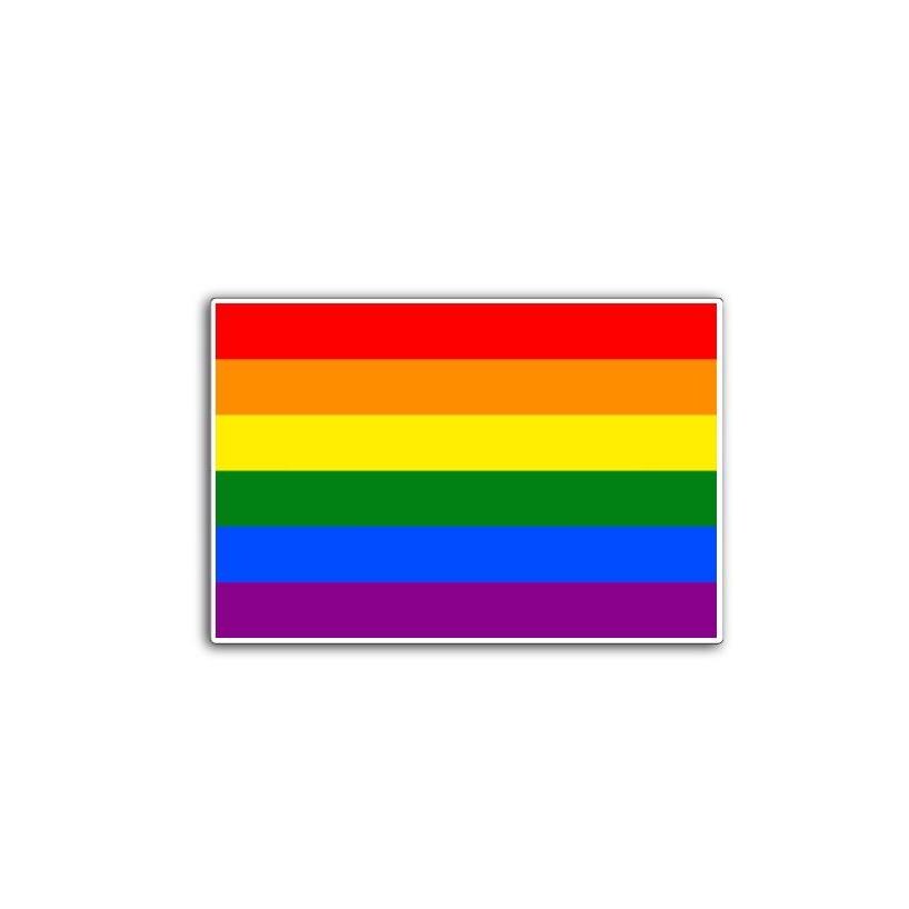 Gay Pride Flag Vinyl Decal or Magnet | LGBTQ+ Pride | Rainbow Flag Design | Support Equality & Love