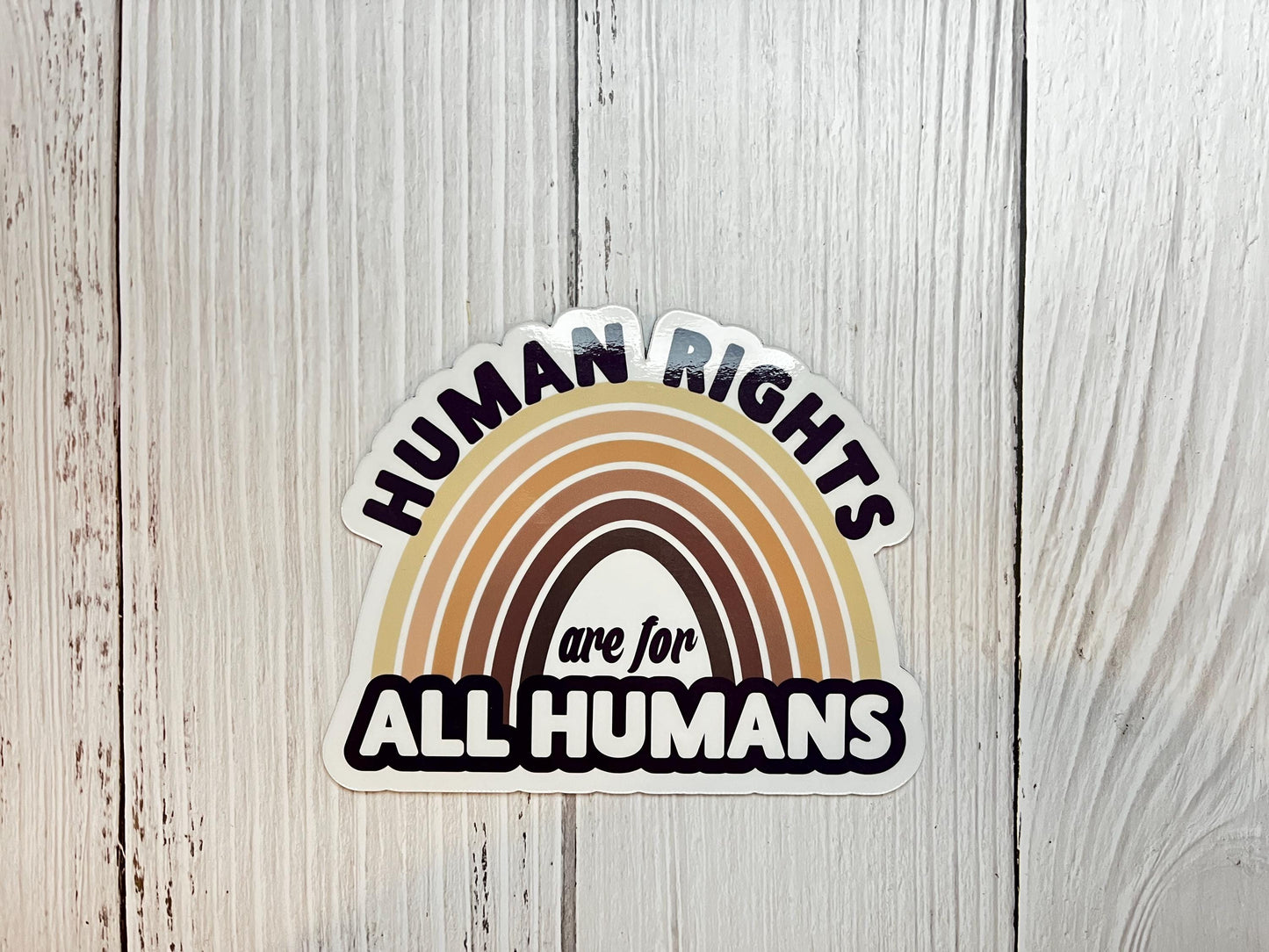 Human Rights are for All Humans Skin Color Rainbow Vinyl Decal or Magnet | Equality Sticker | Human Rights Activism | LGBTQ+ Support