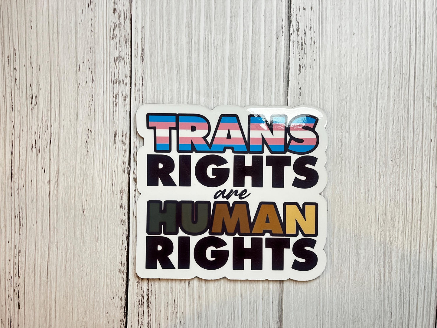 Trans Rights Are Human Rights Vinyl Decal or Magnet | LGBTQ+ Sticker | Trans Ally Pride | Equality Activism | Pro-Trans Design
