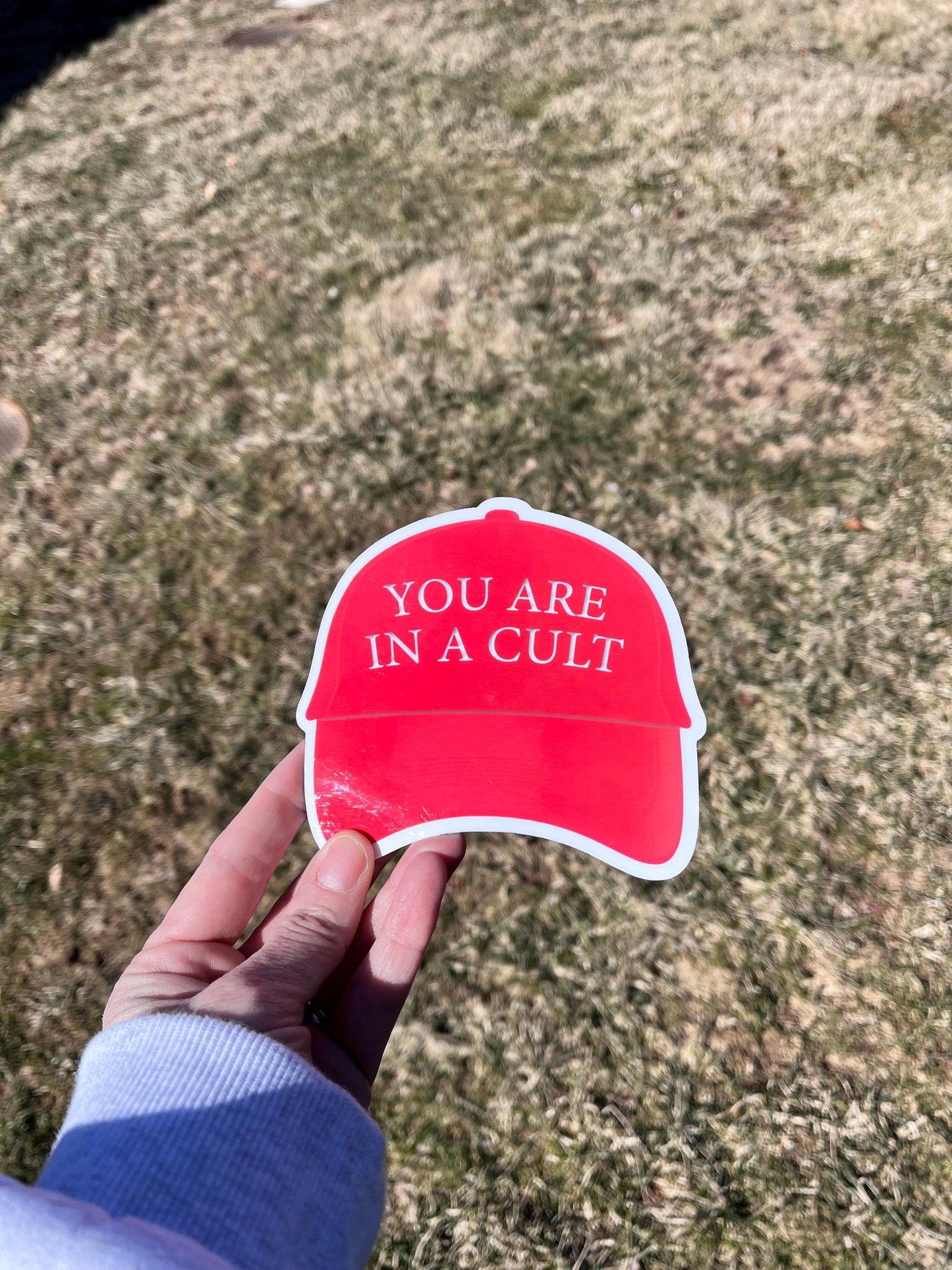 MAGA Cult, You Are in a Cult Vinyl Decal or Magnet | Political Protest Sticker | Anti-Trump Statement | MAGA Humor Design