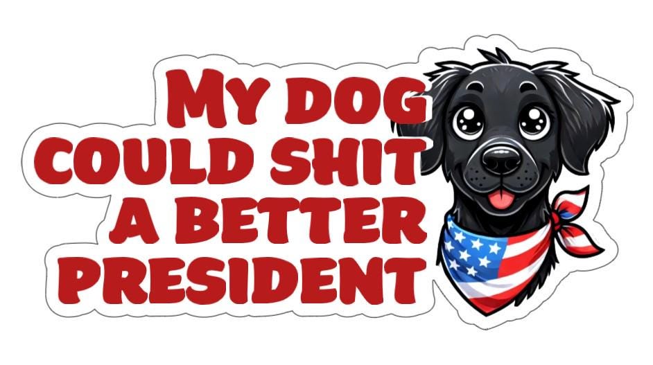 My Dog Could S**t a Better President Vinyl Decal or Magnet | Political Protest Sticker | Anti-Trump Humor | Funny Political Statement