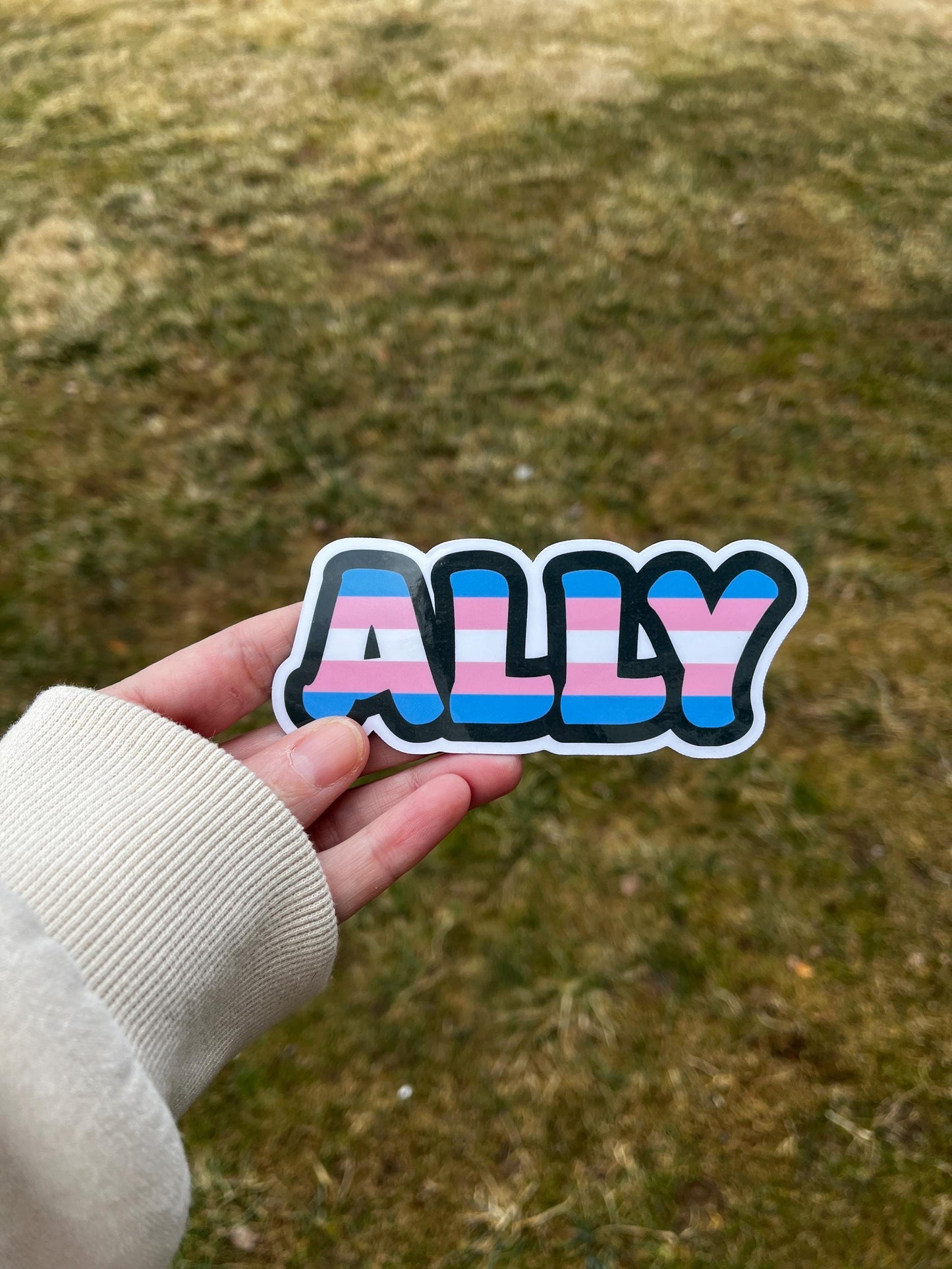 Trans Pride Ally Vinyl Decal or Magnet | LGBTQ+ Support Sticker | Transgender Rights | Pride Ally Design