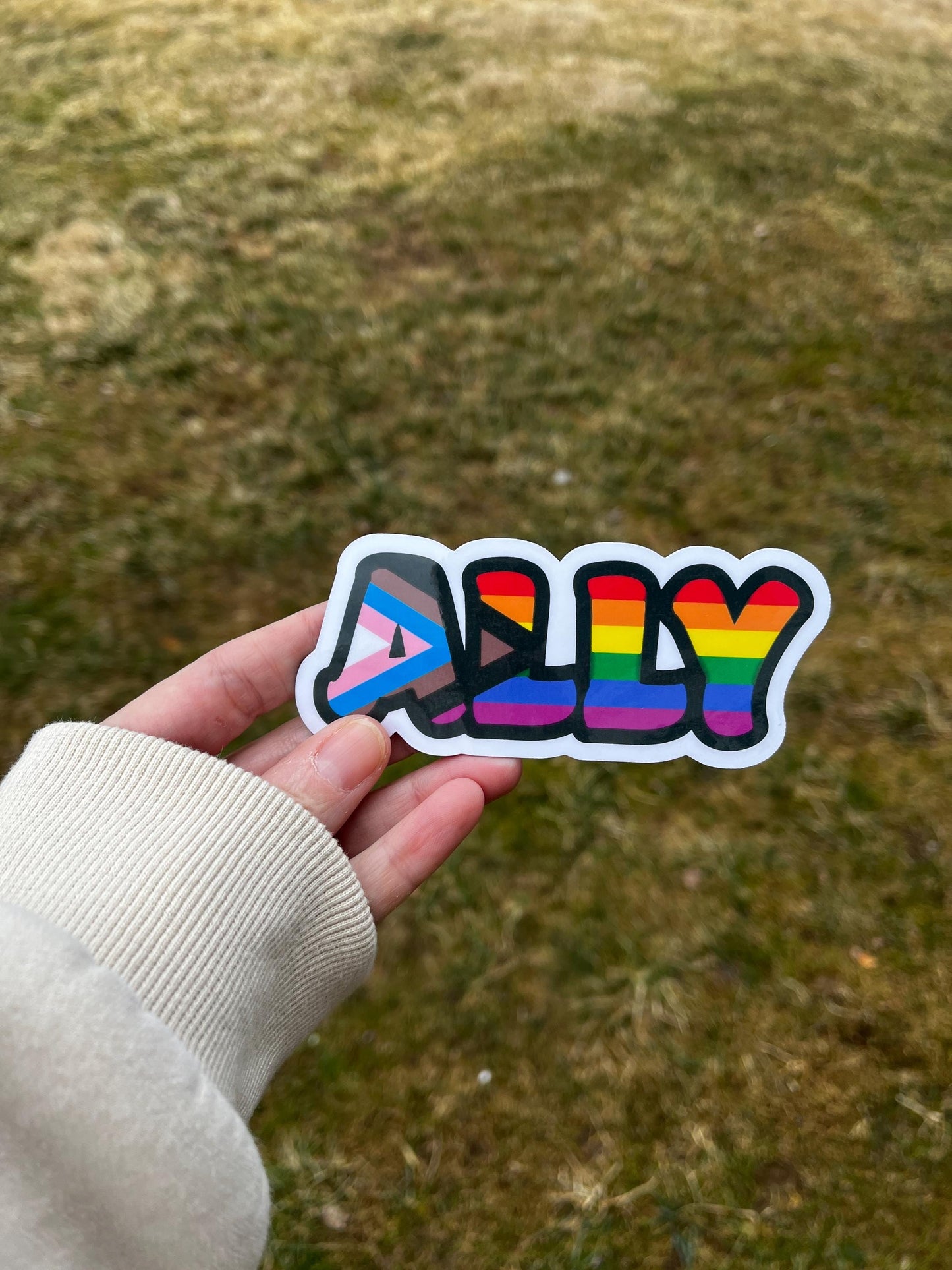 Progressive Gay Pride Ally Vinyl Decal or Magnet | LGBTQ+ Support Sticker | Pride Ally Decal | Political Activism Sticker