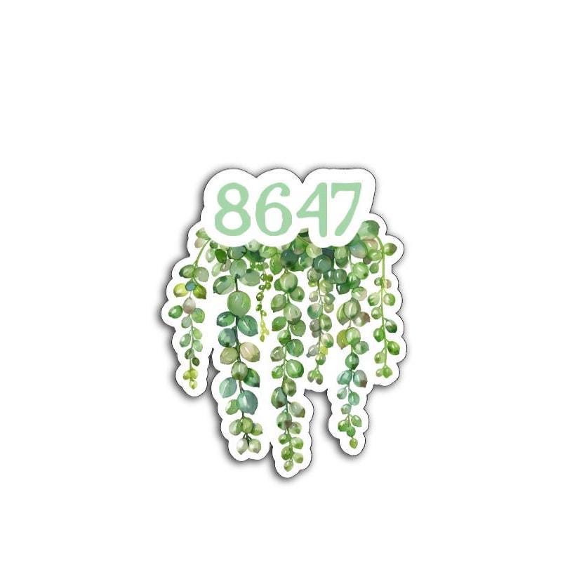 8647 (Get Rid of Trump) Subtle Dainty Green Succulent Plants Vinyl Decal or Magnet | Political Protest | Feminist Statement