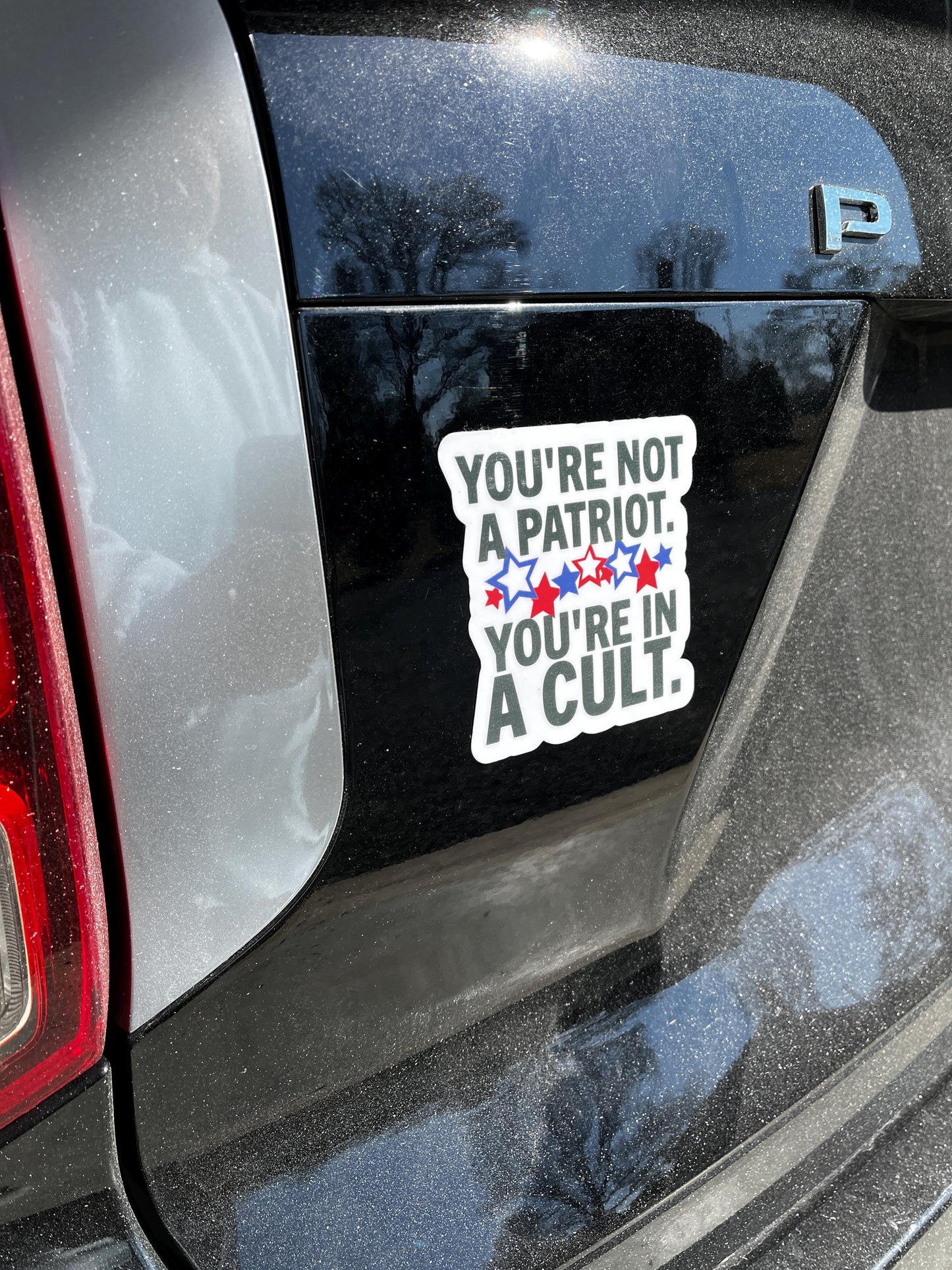 You're Not a Patriot, You're in a Cult Vinyl Decal or Magnet | Political Protest Sticker | Anti-Cult Design | Patriotic Resistance