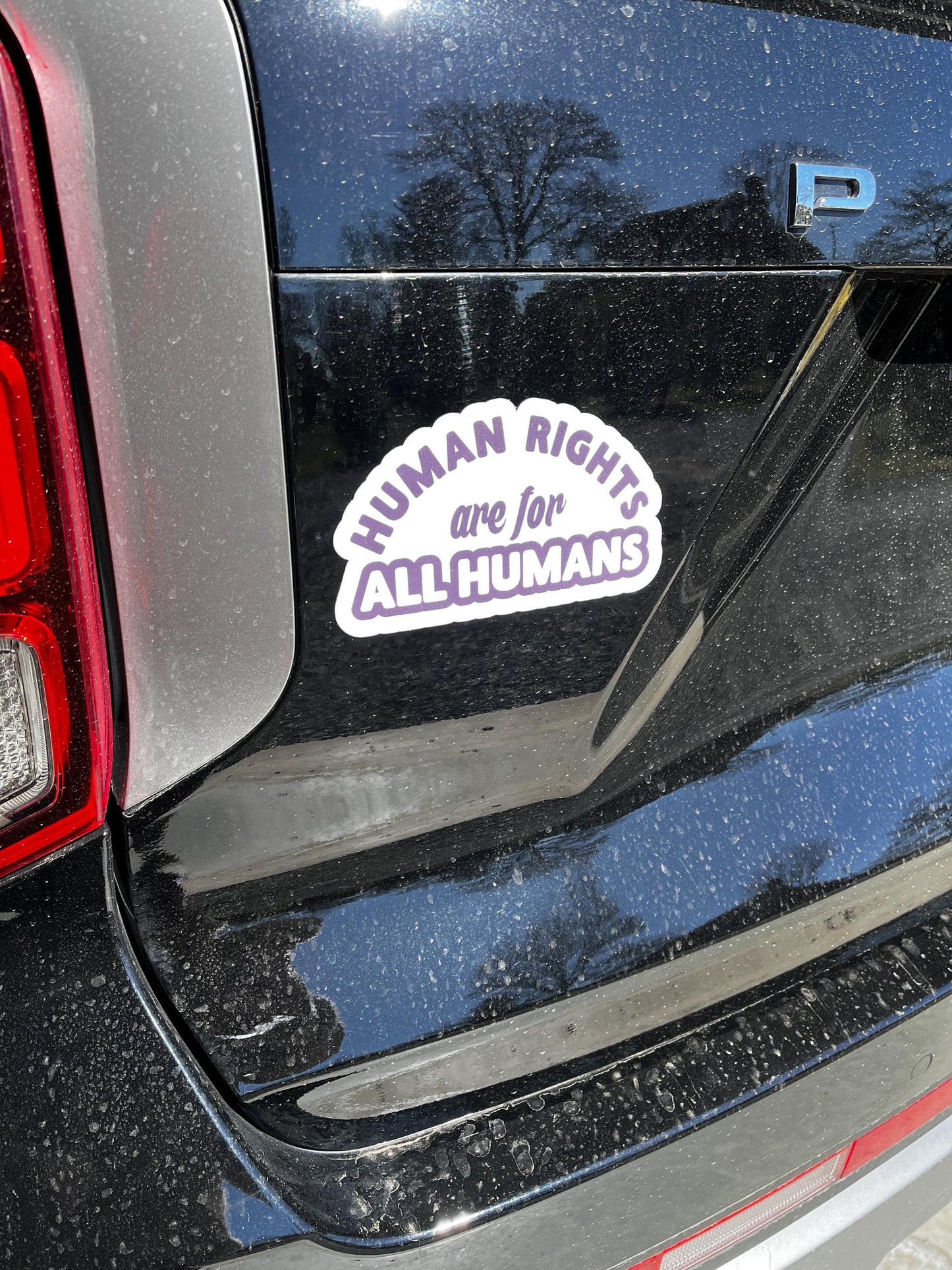 Human Rights are for All Humans Vinyl Decal or Magnet | Equality & Justice Sticker | Human Rights Activism | Political Statement