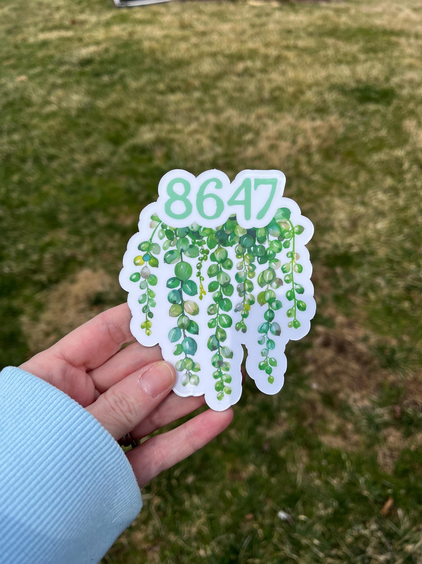 8647 (Get Rid of Trump) Subtle Dainty Green Succulent Plants Vinyl Decal or Magnet | Political Protest | Feminist Statement