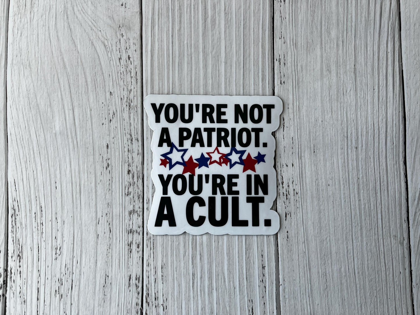 You're Not a Patriot, You're in a Cult Vinyl Decal or Magnet | Political Protest Sticker | Anti-Cult Design | Patriotic Resistance