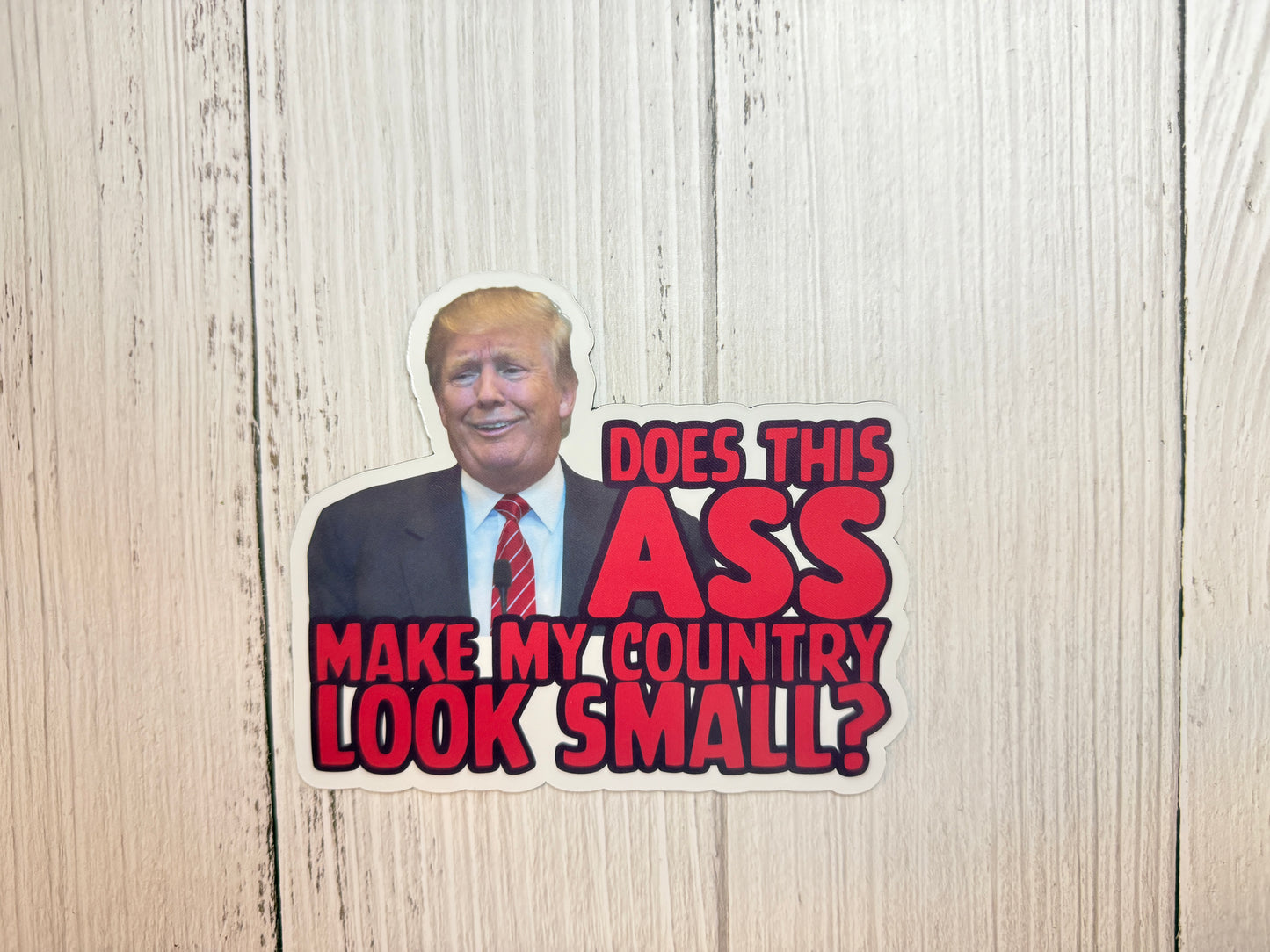 Does this ASS make my country look small magnet displayed on a table as a defiant and humorous political statement