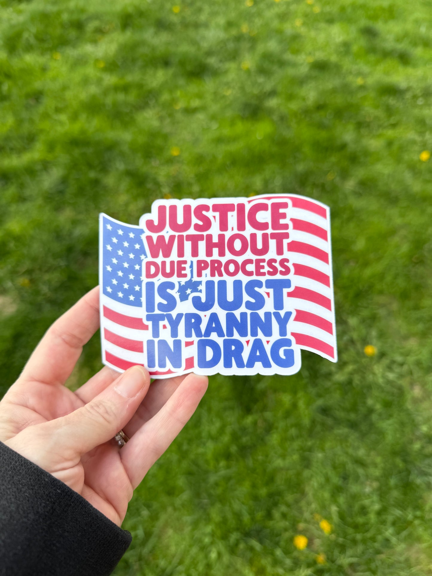 Justice without due process is just tyranny in drag magnet held in hand, standing up for constitutional rights and fair trials.