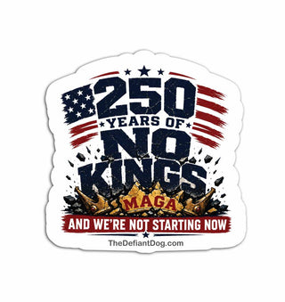 Anti Trump 250 Years No Kings Sticker Pack Magnet Vinyl Decal Patriotic Protest Sticker Democracy USA Political Decal