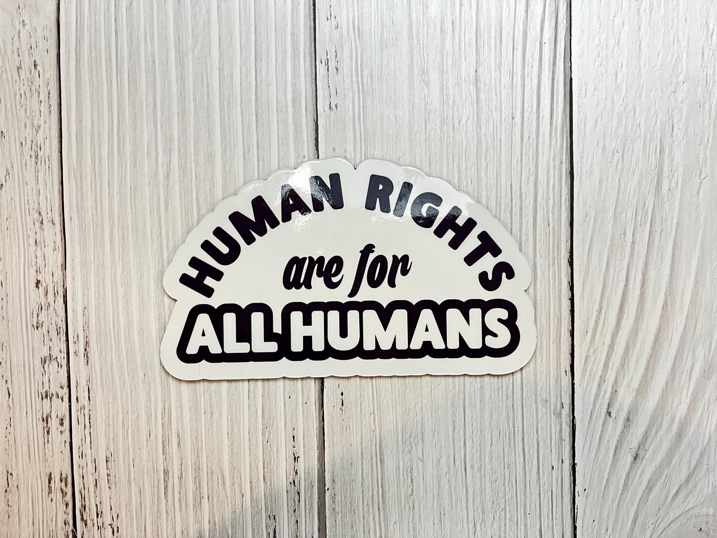 Human Rights are for All Humans Vinyl Decal or Magnet | Equality & Justice Sticker | Human Rights Activism | Political Statement