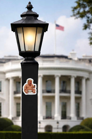 Lamp post with a sticker of Donald Trump in a diaper in front of the White House.