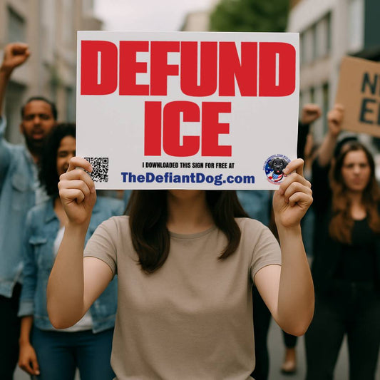 Defund ICE sign being held at a protest