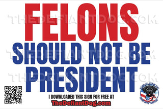 Free protest sign that says 'Felons Should Not Be President' in red and blue text