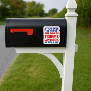 Black mailbox with a political sticker on a grassy lawn