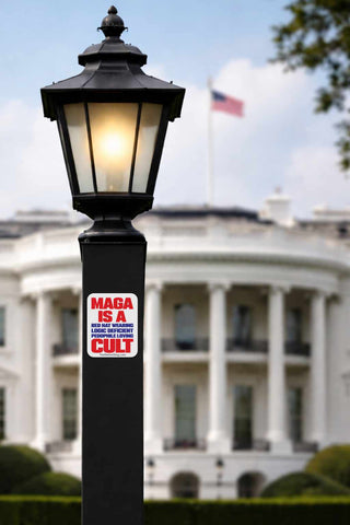 Lamp post with a 'MAGA is a Cult' sticker in front of the White House