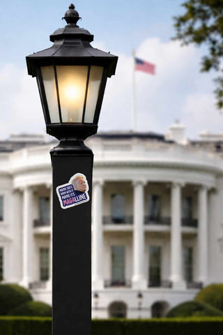 Maybe It's Magalline anti Trump sticker displayed on a lamp post near the White House symbolizing political resistance and democracy advocacy.