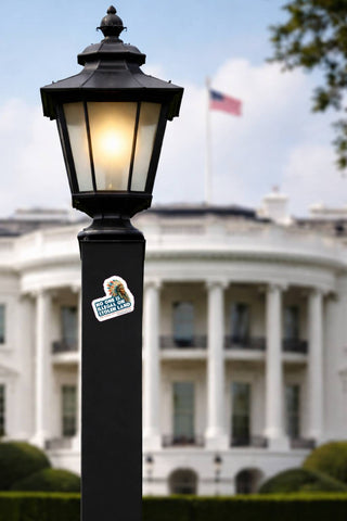Lamp post with a light on in front of the White House