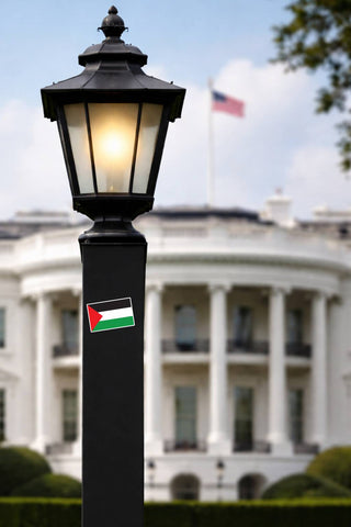 A black outdoor street lamp post with a lit lantern-style shade, featuring a small Palestinian flag sticker on the lower section, set against a blurred White House background.