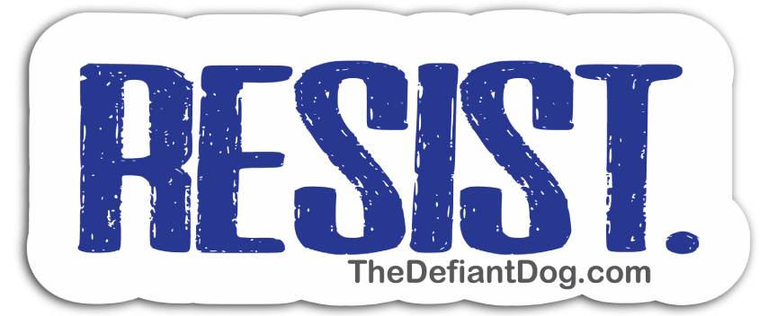 Resisiting Sticker Resist Vinyl Decal or Magnet | Political Protest Sticker | Resistance ...