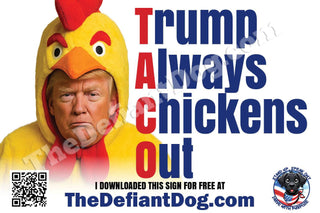 Person wearing a chicken costume with text 'Trump Always Chickens Out' and a QR code.