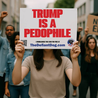 Trump is a pedophile sign being held at a protest