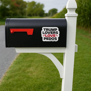 Black mailbox with a political message on a white post in a grassy area.