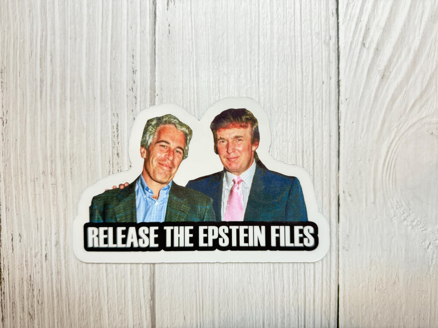 Release the Epstein Files Vinyl Decal or Magnet | Political Protest Sticker | Justice for Epstein | Activism and Transparency Decal