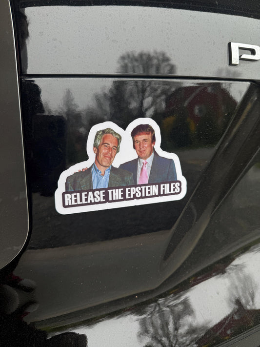 Release the Epstein Files Vinyl Decal or Magnet | Political Protest Sticker | Justice for Epstein | Activism and Transparency Decal