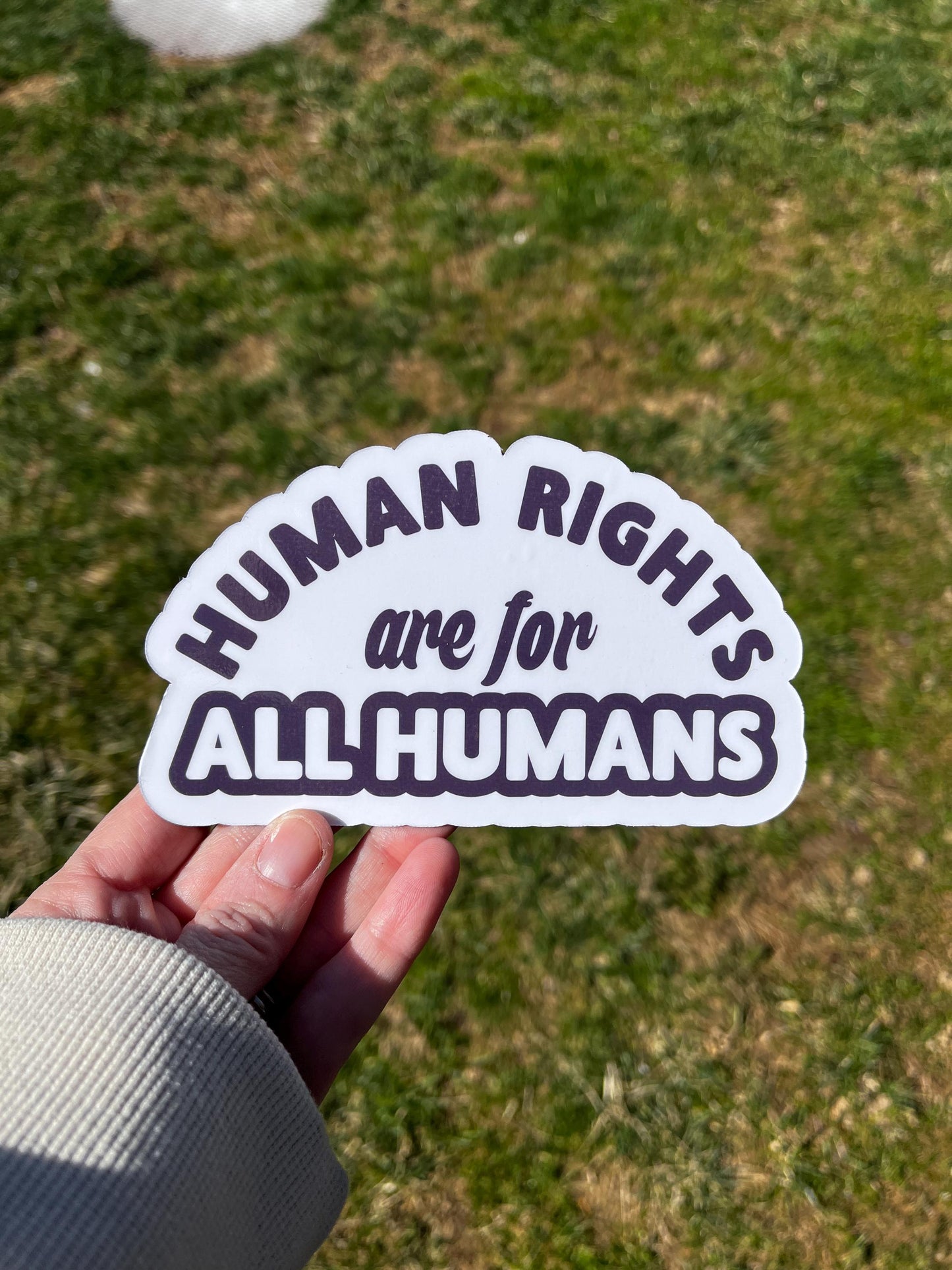 Human Rights are for All Humans Vinyl Decal or Magnet | Equality & Justice Sticker | Human Rights Activism | Political Statement