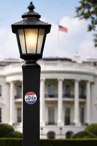 Round “Be a Voter” sticker on a black lamp post with the White House and an American flag in the background.