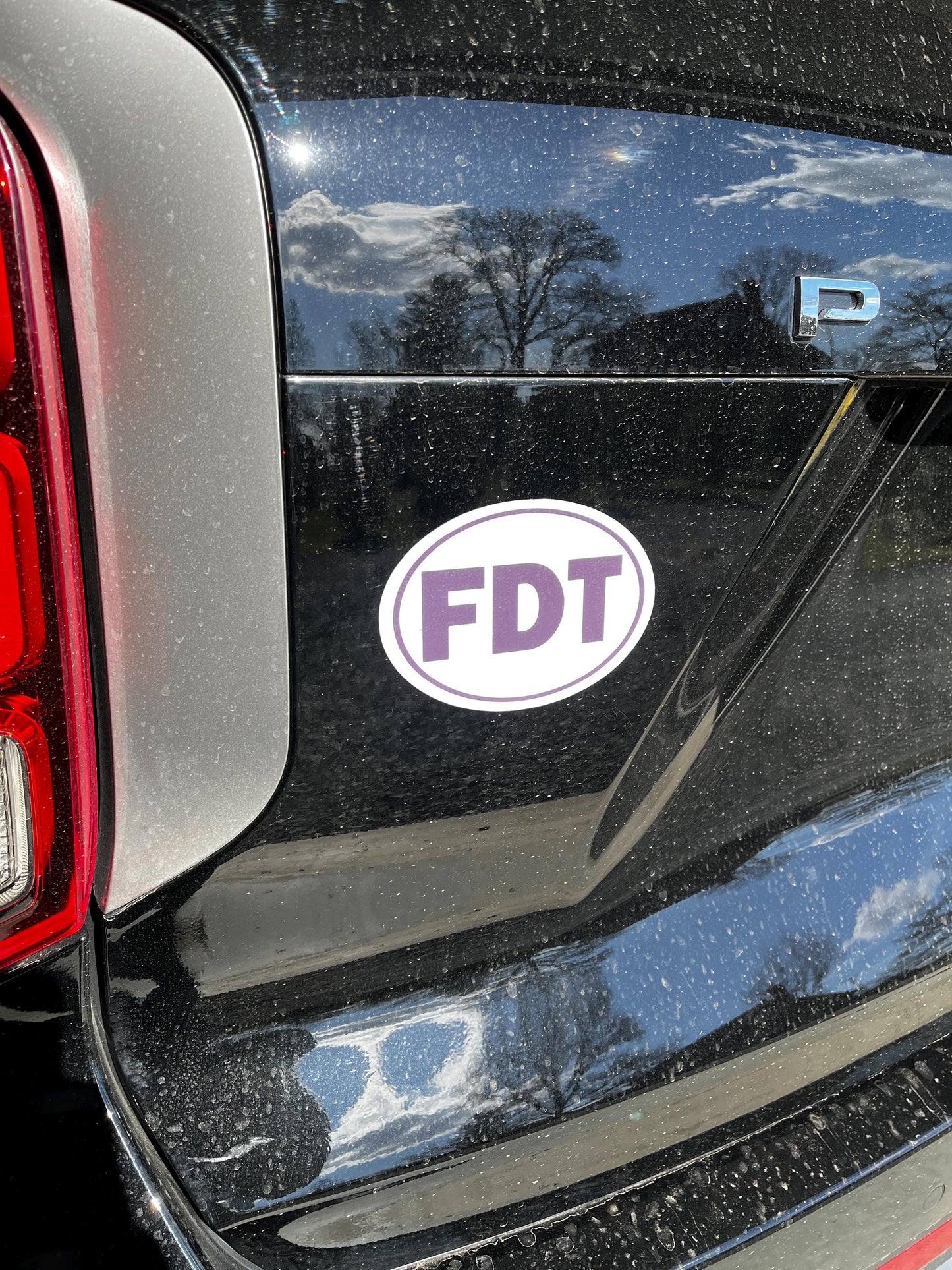 FDT Oval Vinyl Decal or Magnet | Anti-Trump Political Protest | Bold Statement Sticker | Resist Trump Design