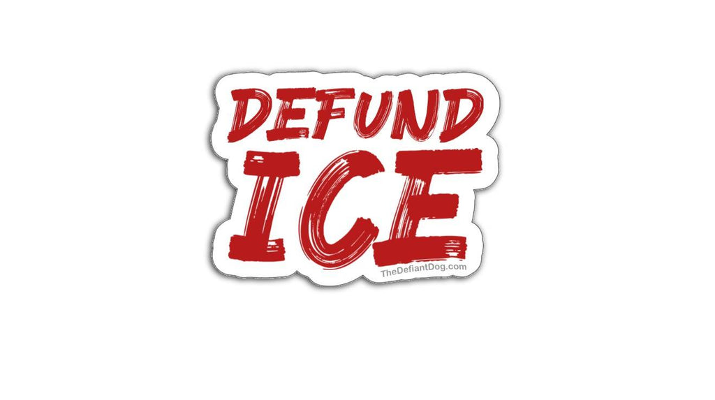 Defund Ice Sticker Pack, Magnet, or Vinyl Decal: Anti-ICE Protest Art ...