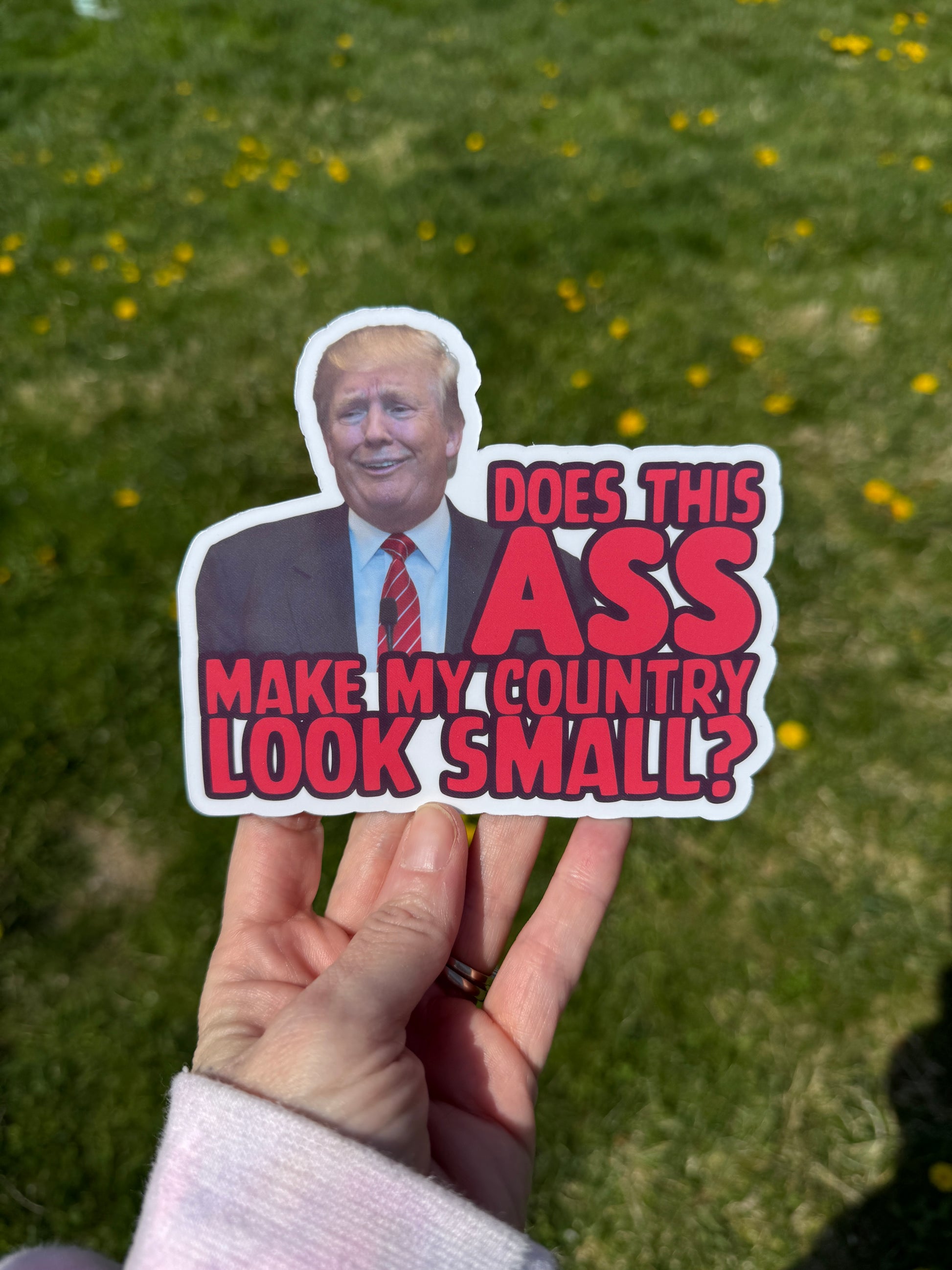 Does this ASS make my country look small magnet held in hand, showcasing bold political humor and resistance.
