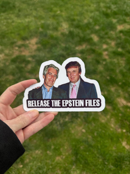 Release the Epstein Files Vinyl Decal or Magnet | Political Protest Sticker | Justice for Epstein | Activism and Transparency Decal