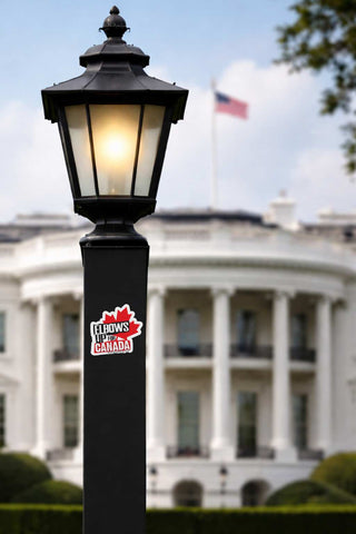 A black outdoor street lamp post with a glowing light in the lantern, featuring a 'Kelbows up for canadaa' sticker on the lower section, set against the blurred White House background.
