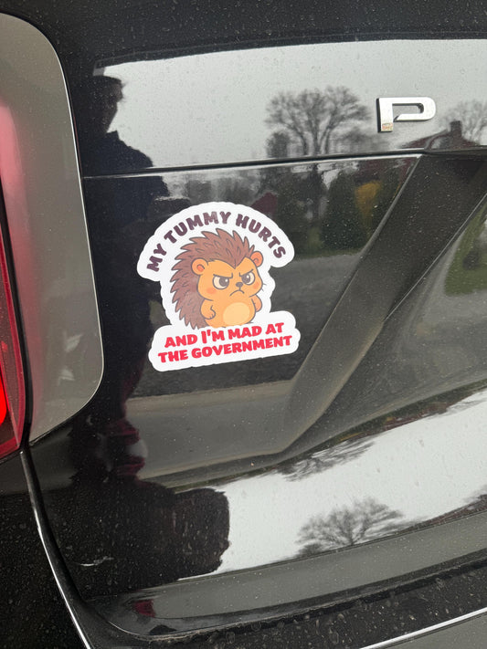 My Tummy Hurts and I'm Mad at the Government Angry Hedgehog Vinyl Decal or Magnet | Political Humor Sticker | Protest Hedgehog Design