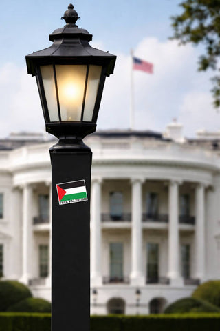 A black outdoor street lamp post with a lit lantern-style shade, featuring a small Palestine flag sticker on the front. The White House is blurred in the background under a blue sky with clouds.