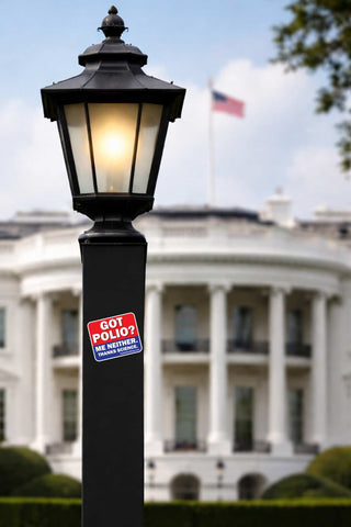 A black vintage-style street lamp post with a glowing light inside the lantern, set against a blurred White House background. A red and blue sticker on the pole reads 'GOT POLIO? THE NEITHER WITHER WITNESS'.