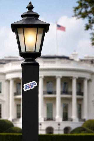A black outdoor lamp post with a lit lantern-style shade stands in front of a blurred White House background. A small sticker is visible on the lower section of the post.