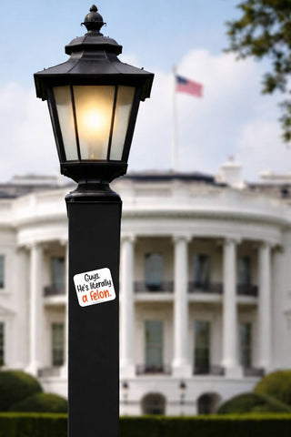 Guys He’s Literally a Felon political protest sticker displayed on a black lamp post with the White House in the background.