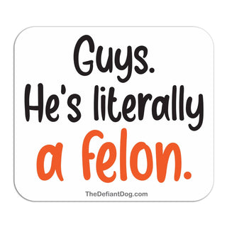 Guys He’s Literally a Felon sticker with bold black and orange typography on a white rounded-square background.