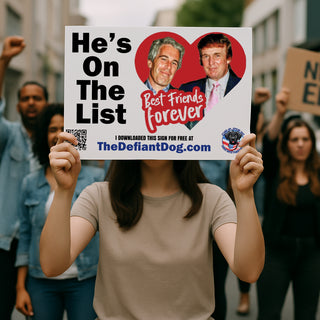 Person holding a sign with 'He's On The List' and 'Best Friends Forever' text, featuring images of two people, with a crowd in the background.