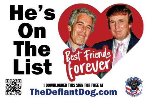sign with trump and epstein in a red heart with the words "he's on the list" and "best friends forever".  Caption on bottom says "i downloaded this sign for free at thedefiantdog.com"