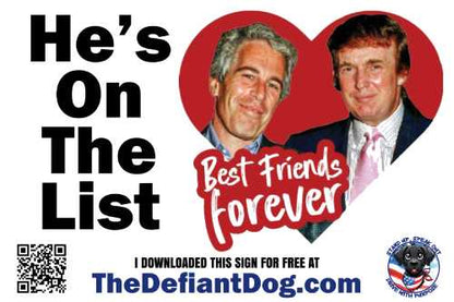 sign with trump and epstein in a red heart with the words "he's on the list" and "best friends forever".  Caption on bottom says "i downloaded this sign for free at thedefiantdog.com"